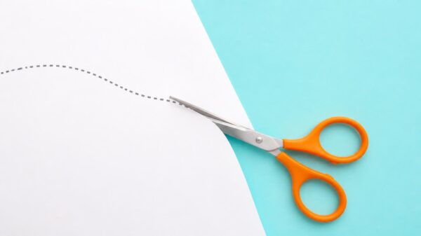 Fractional CMO or Part-Time Marketing Director? Titles, Scope and Accountability
