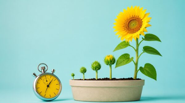 The ROI of a Fractional CMO, What to Measure and Whens