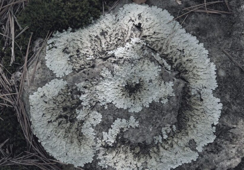 Building Evidence That Converts Sceptics