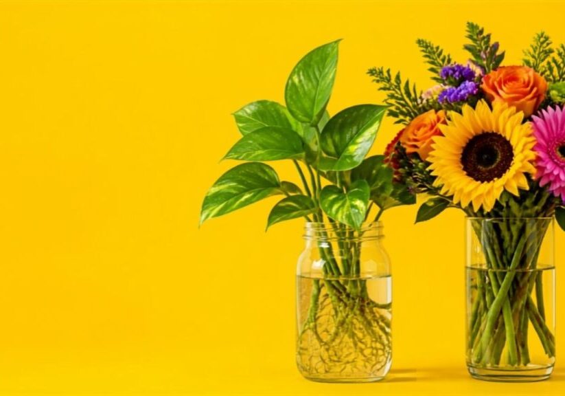CSR Examples Small Businesses Can Learn From