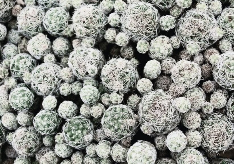 From Strategy to Execution